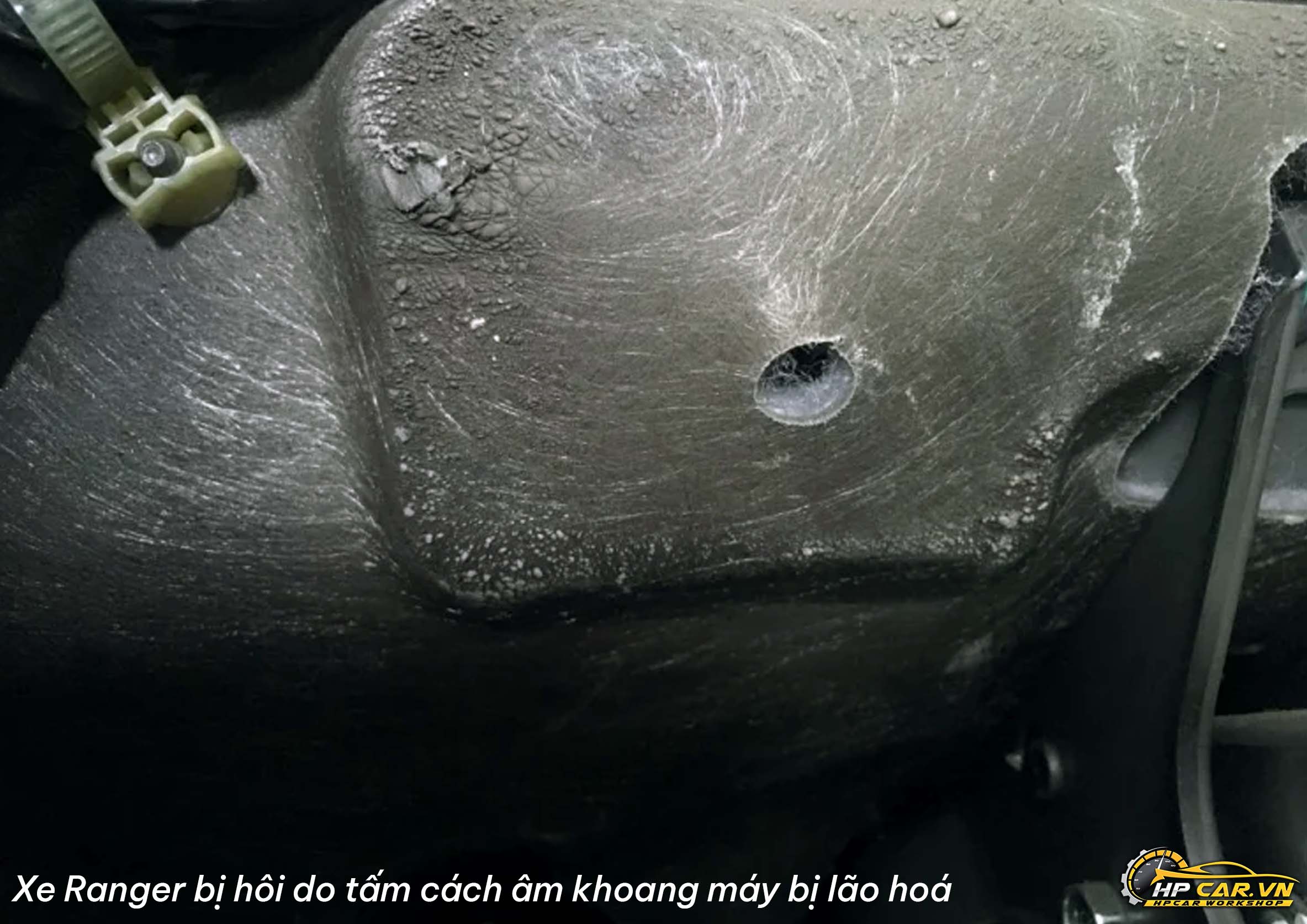 Cách xử lý mùi hôi nội thất xe hơi đơn giản nhưng hiệu quả nhất 4 vệ sinh bề mặt không trải thảm