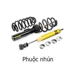 Độ xe Kia 12 Phuộc nhún Kia