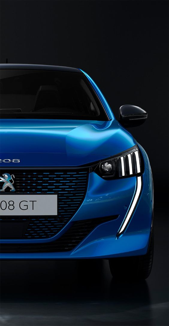 Độ xe Peugeot 3 Peugeot