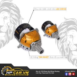 LED aozoom lionking 3