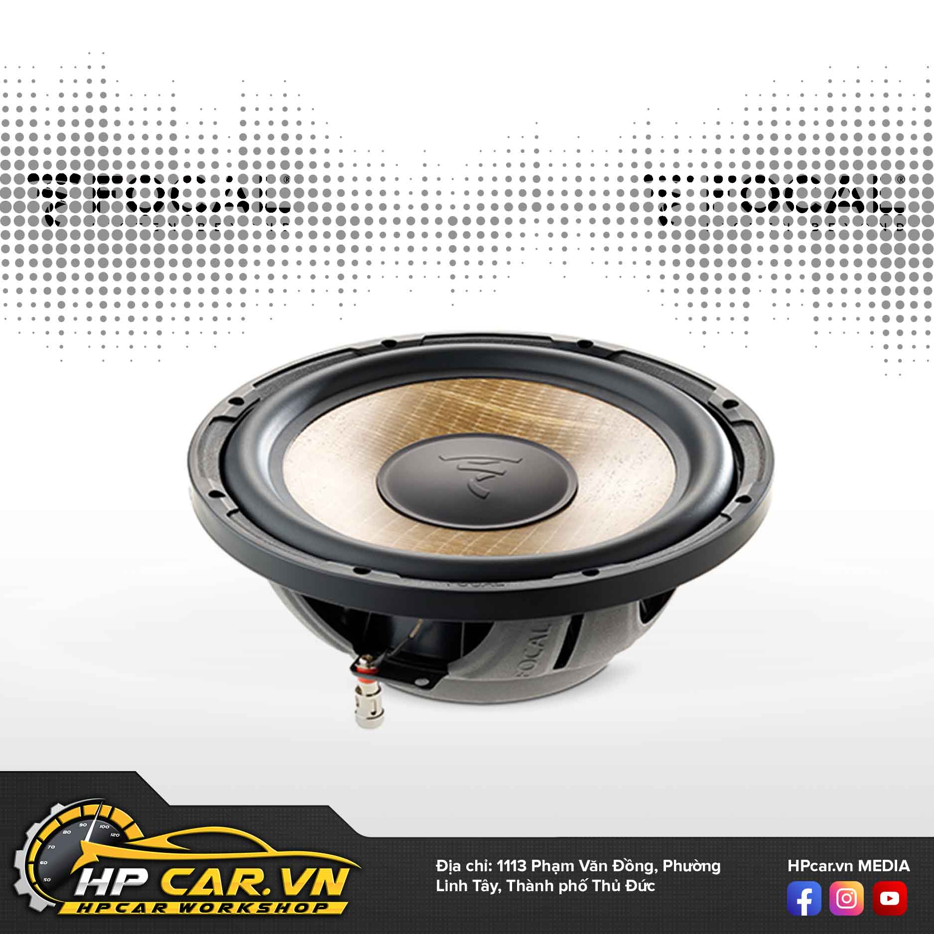 LOA SUB HƠI FOCAL FLAX EVO P 20 FSE 5 p 20 fse1