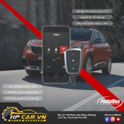 CHÍP CHÂN GA PEDALBOX DÒNG XE PEUGEOT 11 CHÍP CHÂN GA PEDALBOX DÒNG XE PEUGEOT
