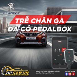 CHÍP CHÂN GA PEDALBOX DÒNG XE PEUGEOT 10 CHÍP CHÂN GA PEDALBOX DÒNG XE PEUGEOT