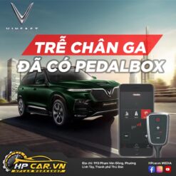 CHÍP CHÂN GA PEDALBOX DÒNG XE VINFAST 10 CHÍP CHÂN GA PEDALBOX DÒNG XE VINFAST