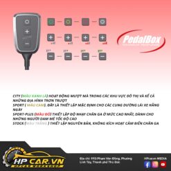 CHÍP CHÂN GA PEDALBOX DÒNG XE VOLVO 11 CHÍP CHÂN GA PEDALBOX DÒNG XE VOLVO
